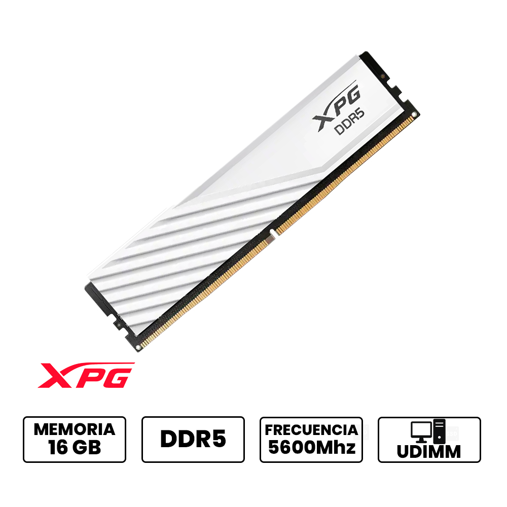 AX5U5600C4616G-SLABWH